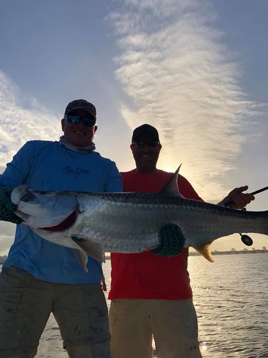 139 tarpon in January!